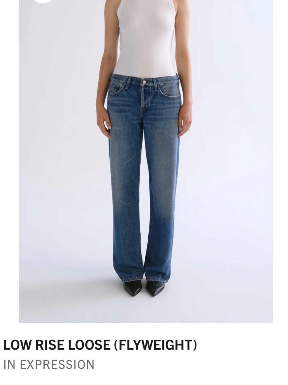 Agolde Low Rose Loose in expression Wide-Leg Low-Rise Jeans